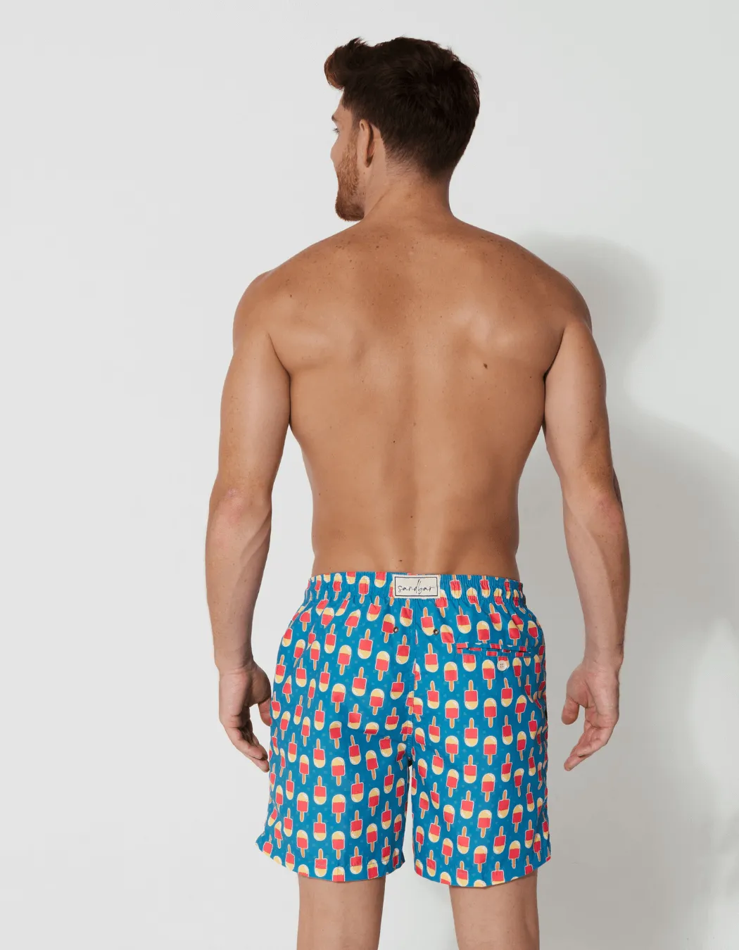 Ice Lolly Mens Swim Shorts