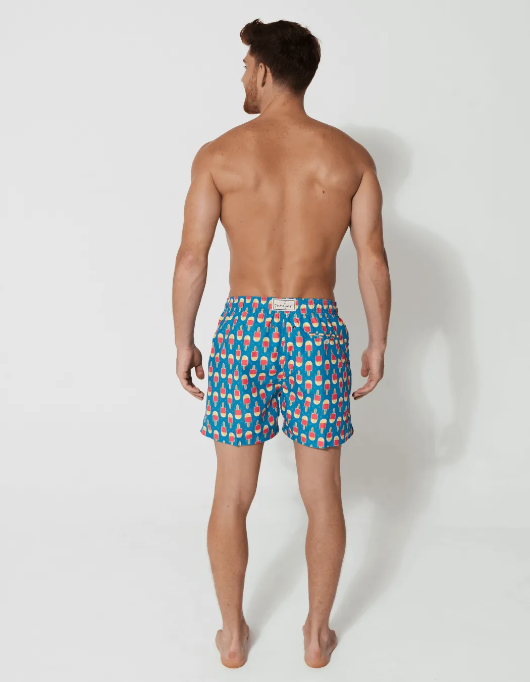 Ice Lolly Mens Swim Shorts