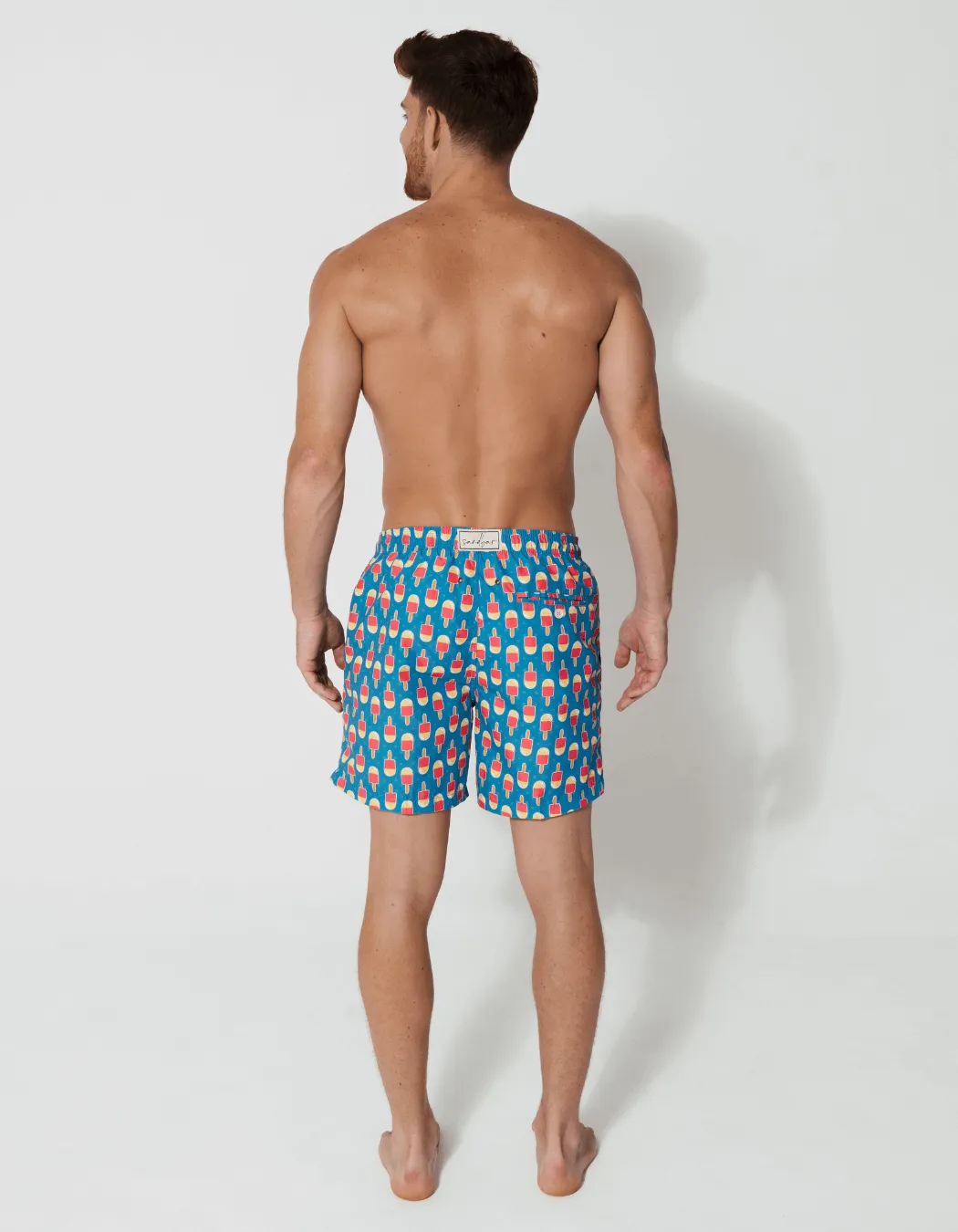 Ice Lolly Mens Swim Shorts